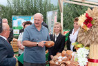 Alexander Lukashenko visits the agricultural company Progress-Vertelishki