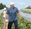 Alexander Lukashenko helps to reap the harvest