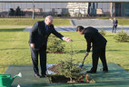 Председатель КНР Си Цзиньпин посадил дерево на Аллее почетных гостей у Дворца Независимости. В церемонии принял участие Президент Беларуси Александр Лукашенко