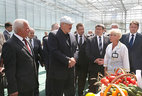 Alexander Lukashenko visits Minsk Vegetable Factory