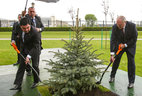 Alexander Lukashenko and Gurbanguly Berdimuhamedov plant a tree on the Alley of Distinguished Guests near the Palace of Independence