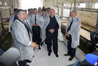 Alexander Lukashenko visits the Rupeiki dairy farm