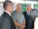 Alexander Lukashenko visited OAO Alexandriyskoye