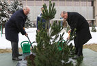Президент Беларуси Александр Лукашенко и Президент Турции Реджеп Тайип Эрдоган во время церемонии посадки дерева на Аллее почетных гостей у Дворца Независимости