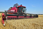 Alexander Lukashenko took a ride in the KZS-1624-1 harvester