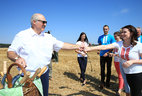 Alexander Lukashenko taught the reporters, who were following him, how to harvest grain crops with a sickle