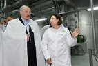 Alexander Lukashenko visits Slutsk Yeast Plant