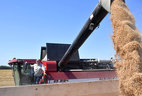 Alexander Lukashenko tested the Belarusian grain harvester Palesse GS2124 in the fields of OAO Aleksandriyskoye