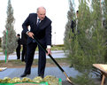 President of the Republic of Belarus Alexander Lukashenko planted a tree at the Alley of Distinguished Guests near the Monument to the Constitution of Turkmenistan