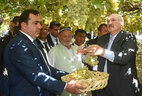 Belarus President Alexander Lukashenko in the vineyard