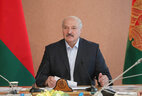Александр Лукашенко провел совещание по вопросам модернизации белорусских НПЗ и повышения эффективности экспортных продаж нефтепродуктов