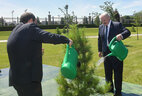 Александр Лукашенко и Абдель Фаттах аль-Сиси посадили дерево на Аллее почетных гостей у Дворца Независимости